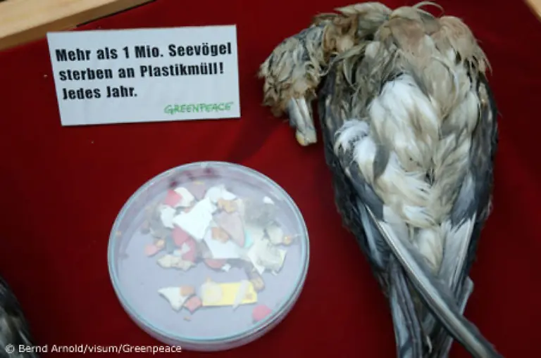 Wissenschaftler-weisen-eine-millionenfach-erhoehte-Konzentration-dieser-Dauergifte-an-Plastikteilen-im-Vergleich-zum-umgebenden-Meerwasser-nach