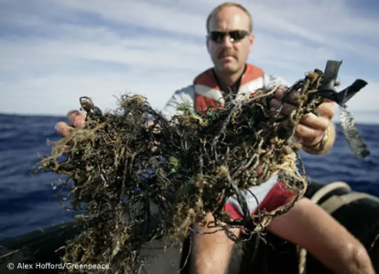 Der-Muellteppich-hat-inzwischen-die-Groesse-Zentraleuropas-erreicht