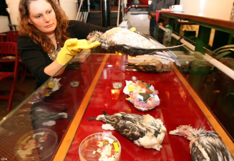 Der-Muellstrudel-von-Hawaii-weist-weltweit-die-hoechste-Konzentration-an-schwimmenden-Plastikteilen-auf