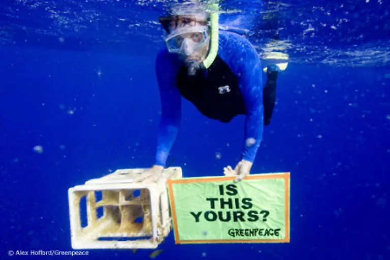 Greenpeace-hat-in-Untersuchungen-festgestellt