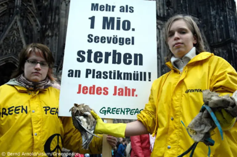 Mitlerweile-sterben-zwei-von-fuenf-hawaiianischen-Layson-Albatros-Kueken-innerhalb-der-ersten-sechs-Lebensmonate-durch-Muell