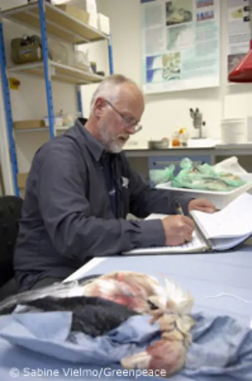 Waehrend-einer-Studie-fanden-europaeische-Wissenschaftler