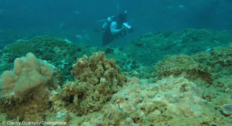 Immer-mehr-wird-klar