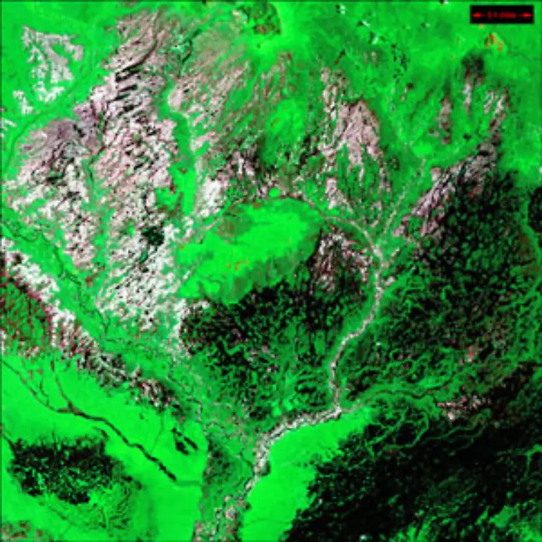 Araca-Fluss-in-Brasilien