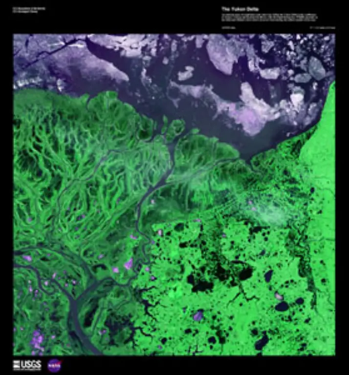 Das-Yukon-Delta-in-Alaska-USA-Alle-Bilder-mit-freundlicher-Genehmigung-von-USGS-National-Center-for-EROS-and-NASA-Landsat-Project-Science-Office