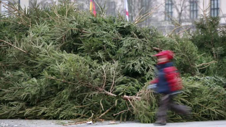 Wenn-in-Januar-die-Unglaeubigen-unter-Ihnen-denken-Weihnachten-sei-bereits-vorbei-irren-sie