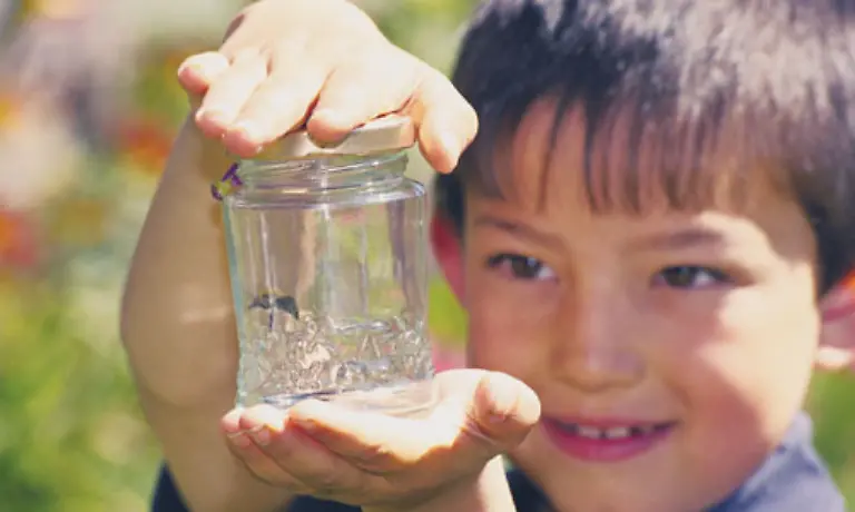 Auch-dem-Forscherdrang-des-Kindes-seiner-wachsenden-Vorstellungs-und-Abstraktionskraft-und-seinem-Beduerfnis-nach-sozialer-Interaktion-soll-Rechnung-getragen-werden