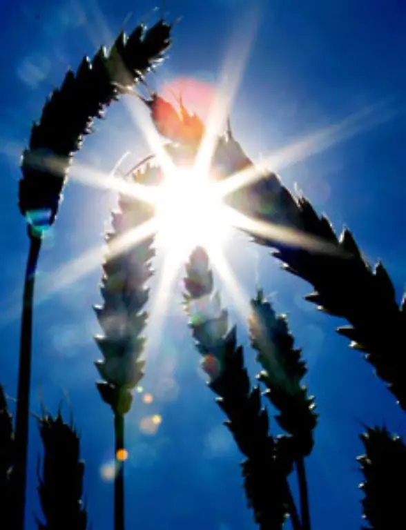 Solar-Energie