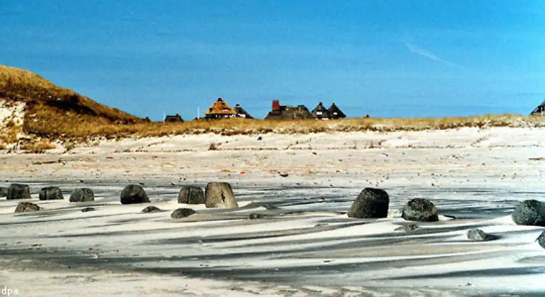 Im-Sueden-der-Insel-finden-sich-noch-heute-groessere-Ansammlungen-von-Tetrapoden