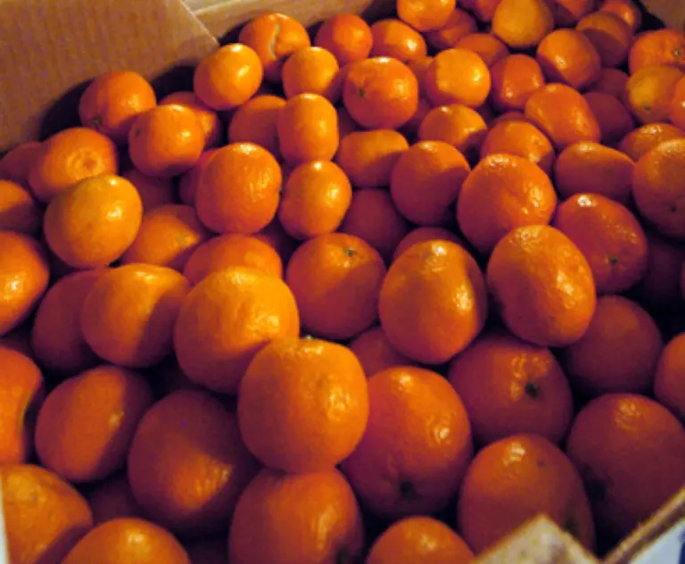 Die-Farbe-Orange-wurde-uebrigens-nach-der-Frucht-benannt