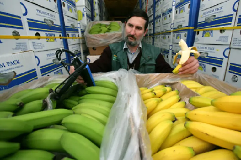 Da-viele-unreife-Fruechte-gruen-sind-wird-diese-Farbe-auch-als-Symbol-fuer-Unreife-benutzt