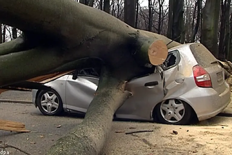 Dieses-Auto-in-Dortmund-war-zum-Glueck-unbesetzt-als-ein-Baum-darauf-stuerzte-Grosse-Gefahr-bedeutete-der-Sturm-auch-fuer
