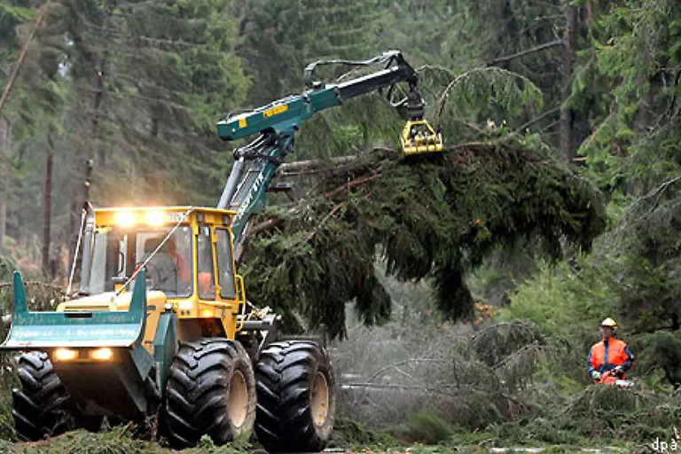 Nach-dem-Orkan-Kyrill-haben-Forstverwaltungen-bundesweit-vor-Spaziergaengen-im-Wald-gewarnt-Dort-bestehe-Lebensgefahr-weil-weitere-Baeume-umstuerzen-und-Aeste-herabfallen-koennten-In-Nordrhein-Westfalen-ordnete-die-Forstverwaltung-ein-Betretungsverbot-fuer-die-Waelder-an
