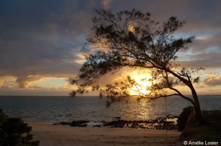 und-unvergessliche-Sonnenuntergaenge-machen-Mauritius-zur-Trauminsel-vieler-Menschen