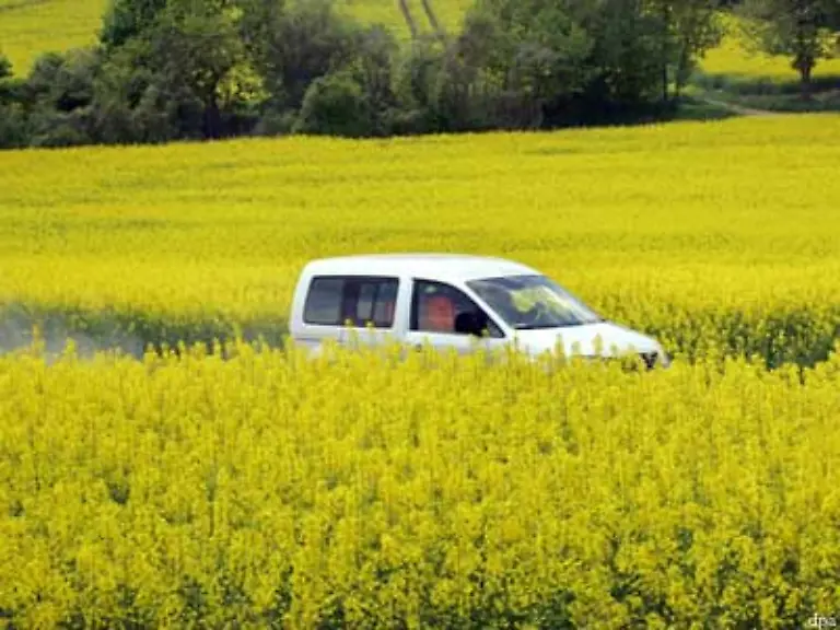Das-daraus-gewonnene-Biogas-koennte-dann-in-das-Gasnetz-eingespeist-werden-Die-notwendigen-Flaechen-stuenden-zur-Verfuegung