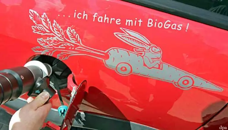 Biogas-das-als-Treibstoff-fuer-Fahrzeuge-oder-fuer-Blockheizkraftwerke-zur-Stromerzeugung-verwendet-werden-kann-gilt-heute-als-eine-der-umweltfreundlichsten-fuer-eine-breite-Bevoelkerung-zugaengliche-CO2-neutrale-Energie