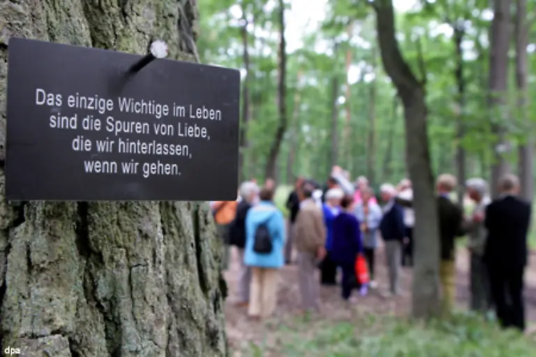kann-man-sich-auch-fuer-den-Friedwald-oder-einen-Naturfriedhof-entscheiden