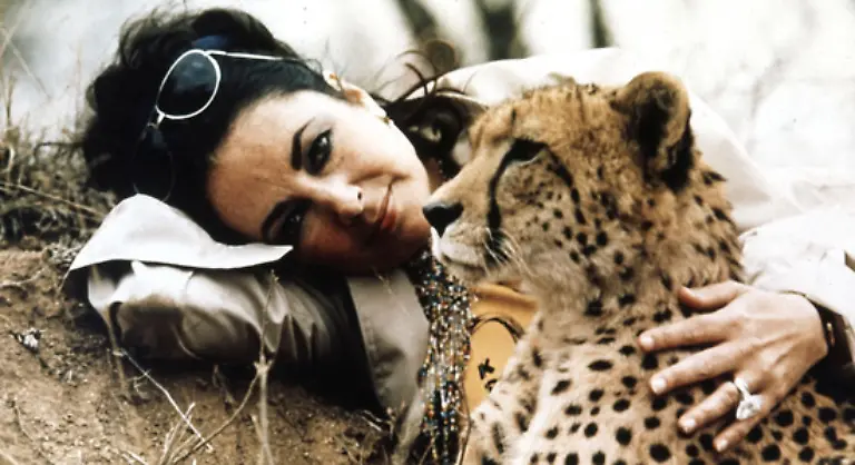 Liz-Taylors-Leben-als-Film