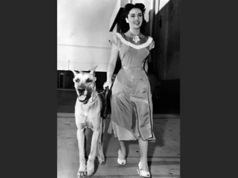 wo-die-ehrgeizige-Mutter-fuer-die-Elfjaehrige-eine-Rolle-in-einem-Lassie-Film-erkaempfte