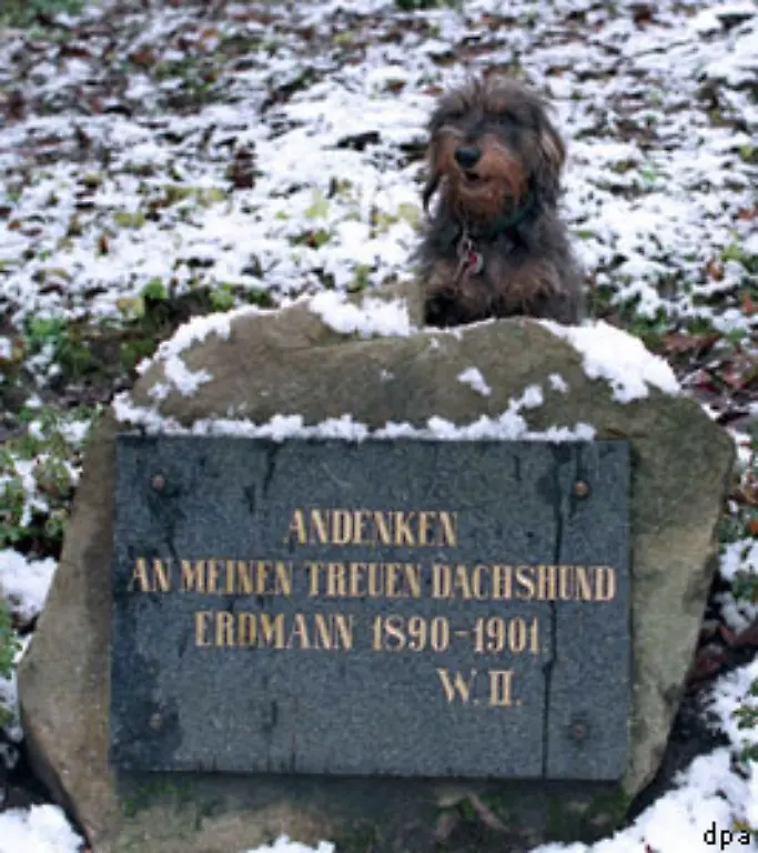 Kaiser-Wilhelm-II-richtete-fuer-seinen-Dackel-sogar-ein-eigenes-Hundegrab-ein-In-einem-Park-in-Kassel-erinnerte-der-Kaiser-an-seinen-treuen-Dachshund-Erdmann-1890-1901