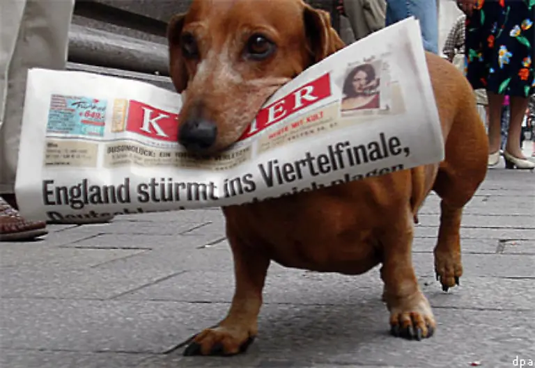 Erblickten-1996-noch-mehr-als-12-000-kleine-Dackel-das-Licht-der-Welt-waren-es-2005-nur-noch-rund-7-300-Welpen