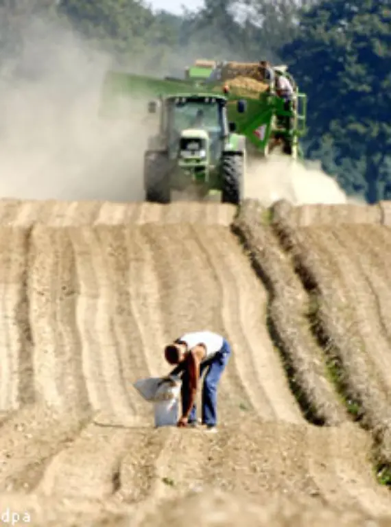 Moeglicherweise-schon-im-7-Jahrtausend-vor-Christus-entdeckten-die-Bewohner-der-Anden-die-Kartoffel-als-Nahrungsmittel