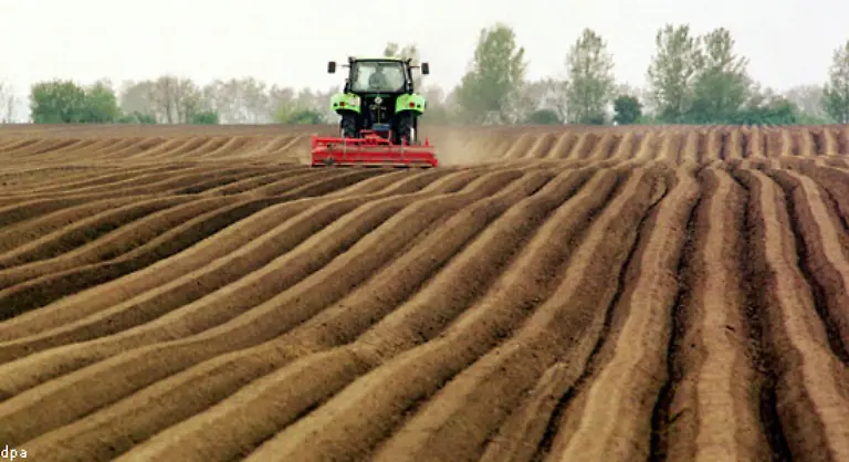 Dennoch-ist-die-Verbreitung-der-Kartoffel-in-Deutschland-vor-allem-mit-dem-preussischen-Koenig-Friedrich-dem-Grossen-verbunden