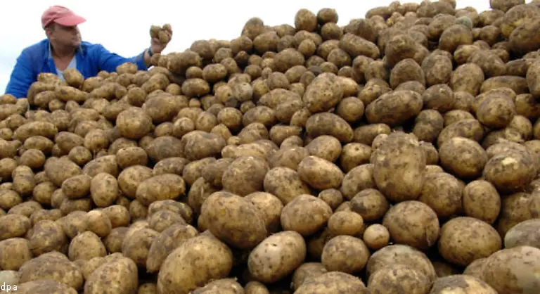 133-schauten-die-Soldaten-weg-Allein-mit-List-konnte-Friedrich-die-brandenburgischen-Bauern-jedoch-nicht-ueberzeugen