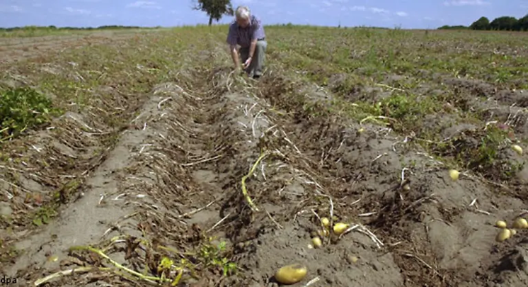 In-der-grossen-Hungersnot-zwischen-1846-und-1849-starben-etwa-eine-Million-Menschen-Wer-konnte-wanderte-aus-Rund-1-5-Millionen-Iren-gingen-in-die-USA-nach-Kanada-Australien-oder-England