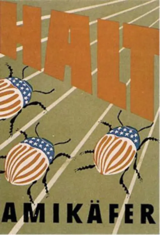 Anders-als-von-der-DDR-Propaganda-1950-behauptet-war-der-Kartoffelkaefer-jedoch-keine-Waffe-der-USA-im-Kalten-Krieg-Er-wurde-bereits-im-19-Jahrhundert-nach-Europa-eingeschleppt