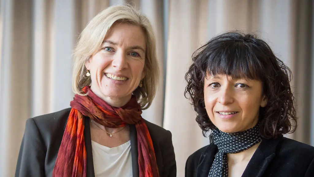 a29877a23d0802b72609879b3fb93865