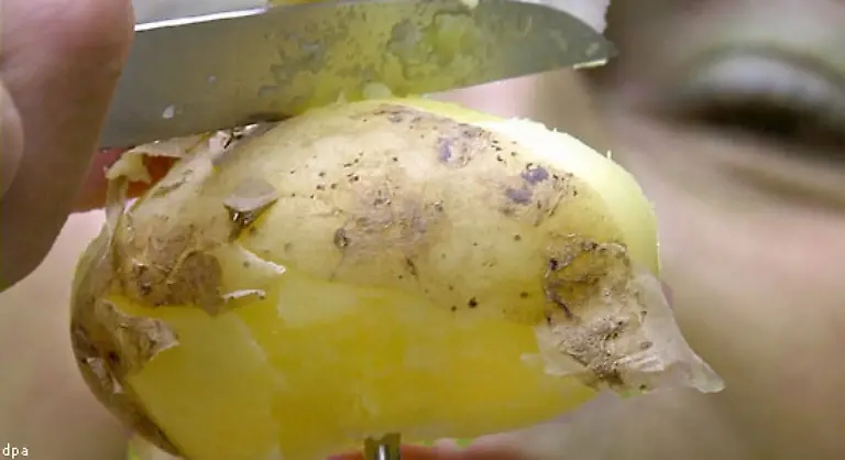 2005-kaufte-der-durchschnittliche-Privathaushalt-fuenf-Kilo-Kartoffeln-pro-Monat-Der-bundesweite-Verbrauch-pro-Kopf-und-Jahr-liegt-bei-rund-70-Kilo