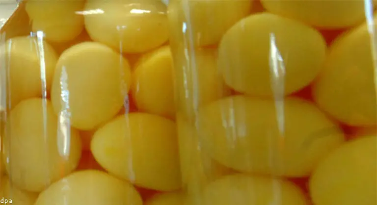 Anfang-der-1950er-Jahre-hatte-in-Westdeutschland-jeder-Einwohner-pro-Jahr-noch-sage-und-schreibe-170-Kilo-Kartoffeln-gegessen-Ende-der-1960er-waren-es-immerhin-noch-102-Kilo-Das-war-die-grosse-Zeit-der-Saettigungsbeilage