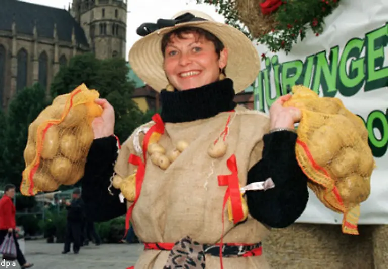 Insgesamt-werden-in-Ostdeutschland-mehr-Kartoffeln-verspeist-als-im-Westen-im-Norden-mehr-als-im-Sueden-Am-seltensten-kommen-Kartoffeln-in-den-Haushalten-von-Baden-Wuerttemberg-und-Bayern-auf-den-Tisch