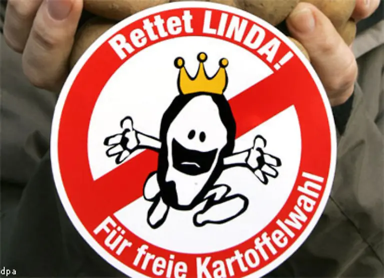 Ein-Freundeskreis-rettet-die-Linda-kaempft-seither-juristisch-gegen-Europlant-um-die-Kartoffelsorte-zu-erhalten