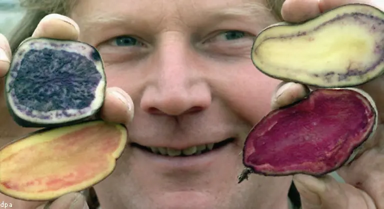 Viele-davon-sind-verschwunden-andere-sind-noch-heute-zu-bekommen