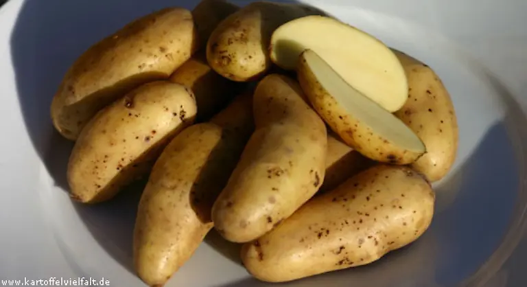 eine-wuerzige-tschechische-Kartoffel