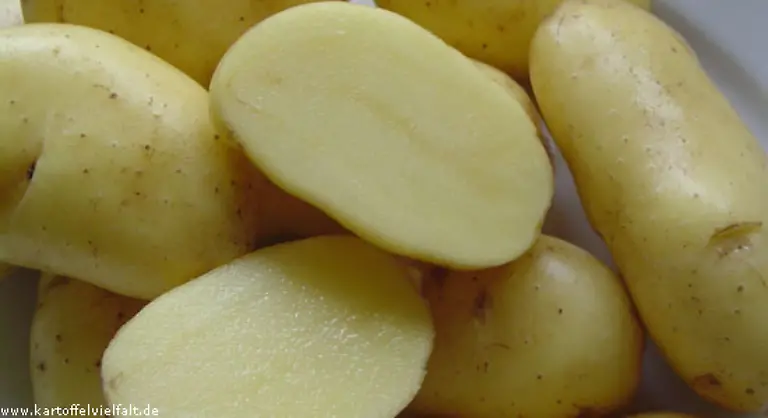 Festkochend-kraeftiger-Kartoffelgeschmack-geeignet-als-Salat-Salz-oder-Pellkartoffel