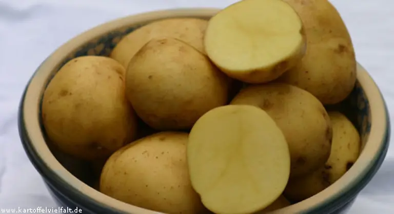 Aus-Bayern-kommt-Gusto