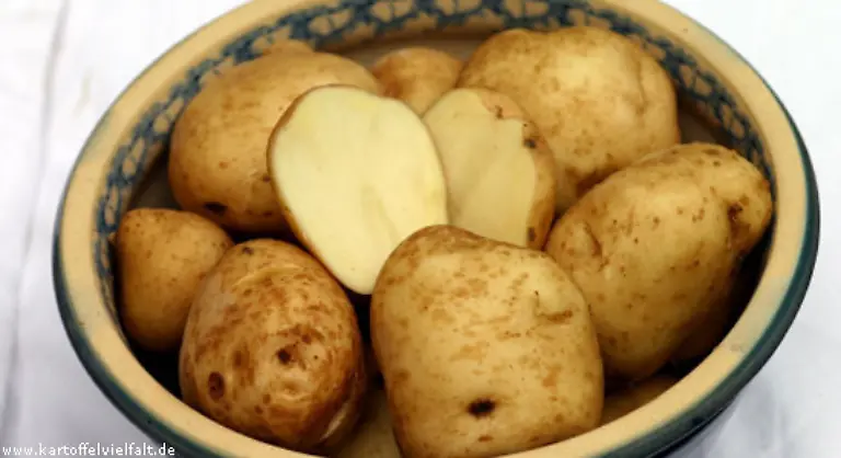 Epicure-sind-vorwiegend-festkochend-und-haben-einen-milden-lieblichen-Geschmack