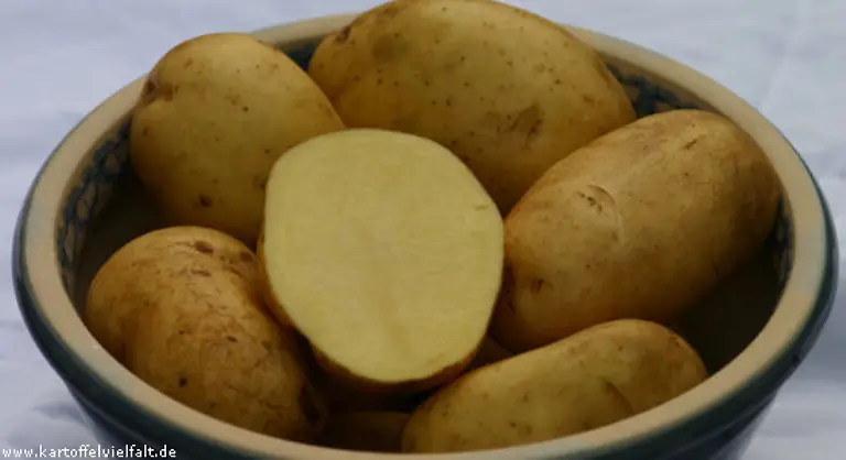 Als-sueddeutsche-Sorte-ist-Margit-vorwiegend-festkochend-Sie-duerfte-aber-auch-in-anderen-Teilen-des-Landes-schmecken