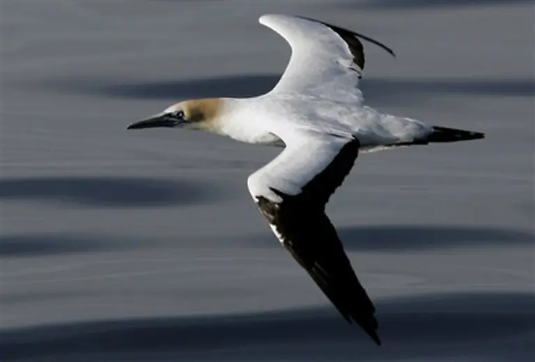 Aber-wie-kann-Wasser-knapp-sein-Schliesslich-ist-doch-mit-mehr-als-70-Prozent-der-groesste-Teil-der-Erdoberflaeche-von-Wasser-bedeckt