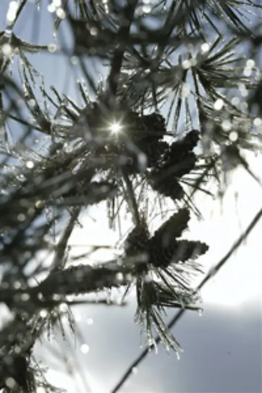 Das-Grundwasser-unter-der-Erde-macht-weitere-30-Prozent-aus-Hinzu-kommen-ein-Prozent-Bodenfeuchtigkeit-Grundeis-Dauerfrost-und-Sumpfwasser