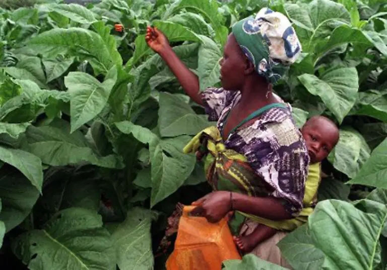 Rund-70-Prozent-des-weltweiten-Trinkwassers-aus-den-leicht-zugaenglichen-Seen-und-Fluessen-werden-fuer-die-Landwirtschaft-verwendet