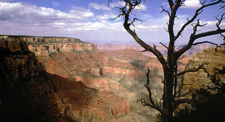 Bei-einer-Wanderung-vom-Rand-des-Tals-bis-an-den-Fluss-durchschreitet-man-fuenf-Klimazonen