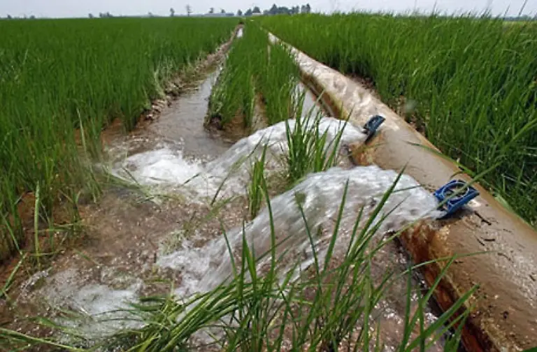 Denn-obwohl-Trinkwasser-immer-knapper-wird-bleiben-viele-Einsparmoeglichkeiten-etwa-im-Konsumverhalten-in-der-Lebensmittelproduktion-oder-besonders-in-der-Landwirtschaft-ungenutzt