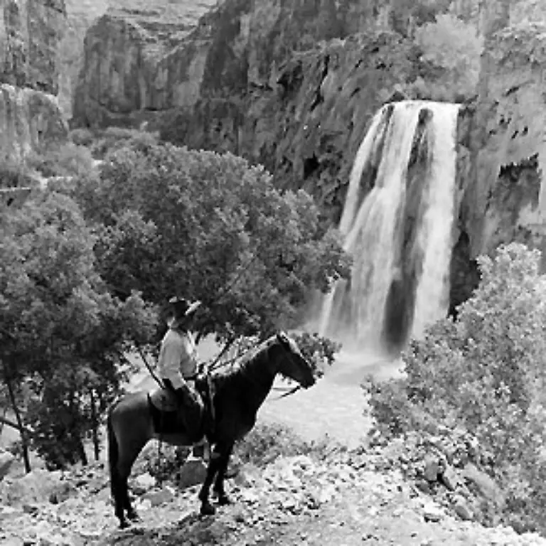 Sie-hoffen-durch-die-neue-Einnahmequelle-im-ansonsten-kargen-Land-einen-Weg-aus-der-Armut-zu-finden-Das-Foto-aus-dem-Jahre-1943-zeigt-einen-Hualapai-Indianer
