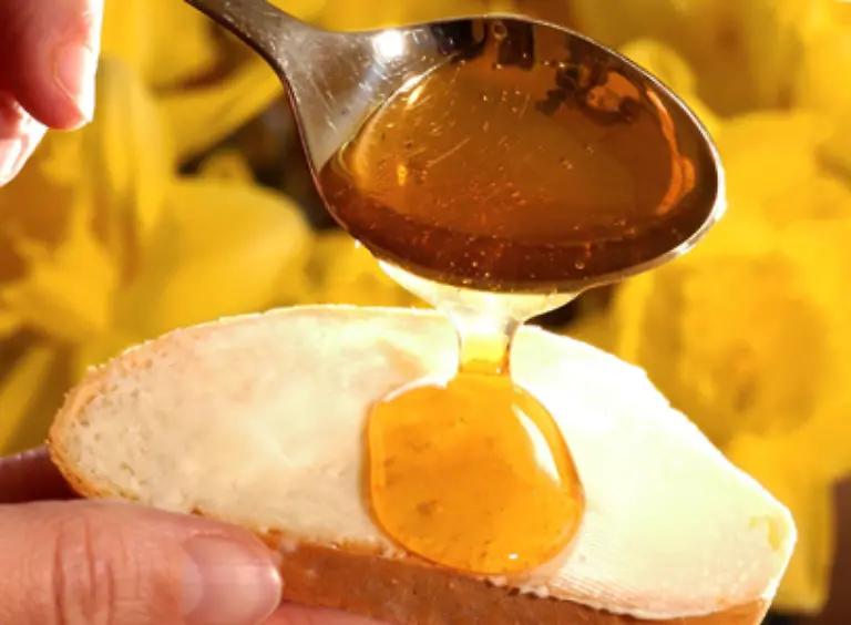 Der-suesse-goldgelbe-Honig-der-direkt-aus-dem-Bienenstock-gewonnen-wird-spielt-in-Bezug-auf-die-landwirtschaftliche-Stellung-der-Biene-nur-eine-untergeordnete-Rolle