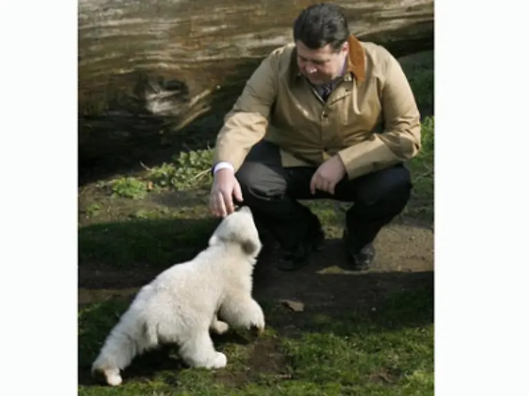 Mach-s-gut-Knut-Winke-winke