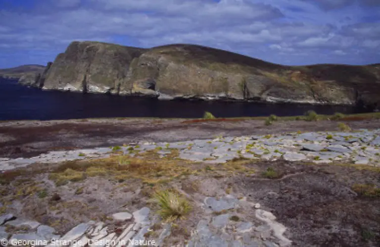 Die-Falklands-gehoeren-zu-den-am-weitesten-suedlich-gelegenen-bewohnten-Gebieten-der-Erde